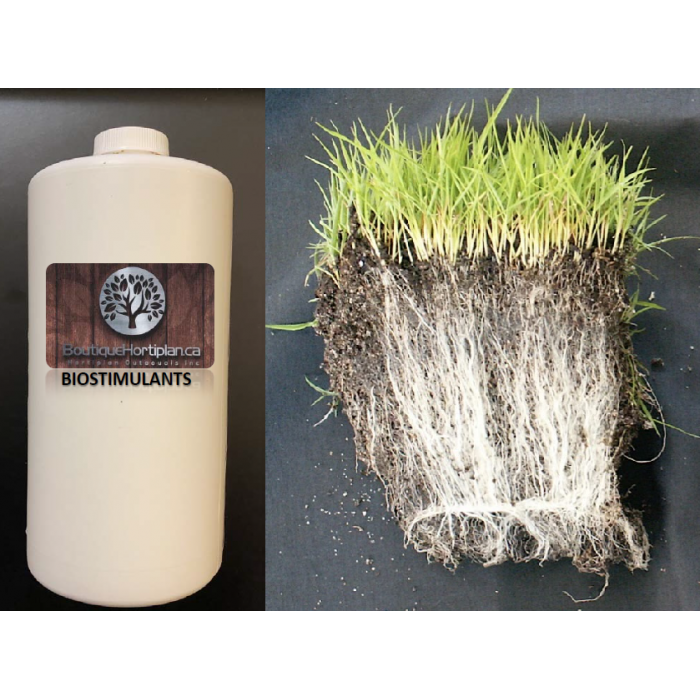 Biostimulants pour plantes et pelouse
