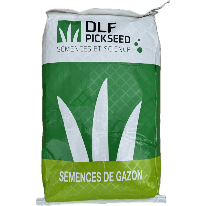 Professional coated grass seed fast sun 