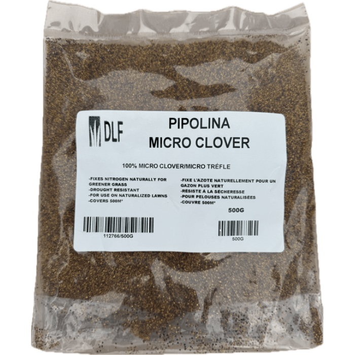 Pipolina Micro Clover Seed  